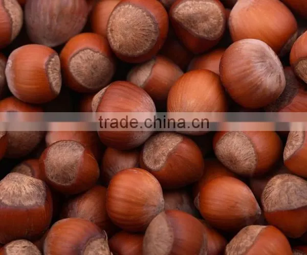 100% Organic and Natural Hazelnuts photo-2