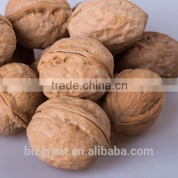 China OriginBulk Walnut in Shell photo-3