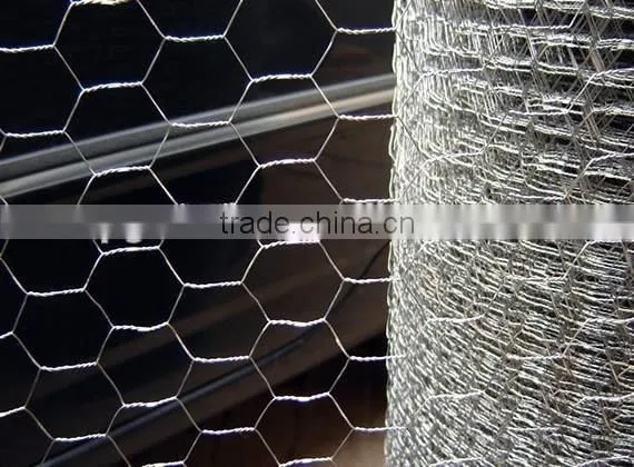 Galvanized, Pvc Coated Hexagonal Wire Mesh, Chicken Mesh Fence, Twisted Mesh photo-4