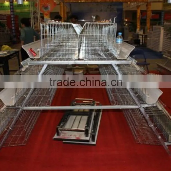 China Factory Produce H Type Baby Chicks Cage photo-3