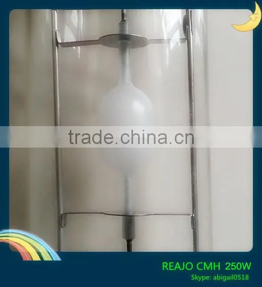Horticulture Plant Growth Light Protected CMH 315W photo-6