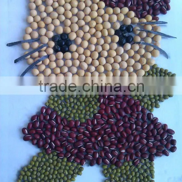Food Grade Organic Soybean/soya Bean( 2011 Crop, Heilongjiang Origin)