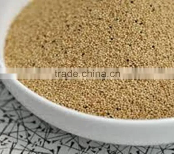 AMARANTH GRAIN INDIA OROGIN photo-2