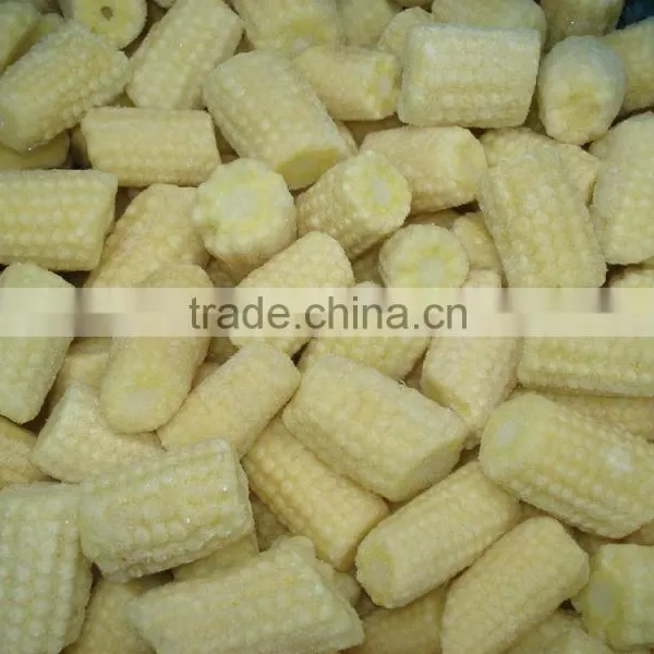 Frozen Yellow Maize (Sweet Corn) photo-2