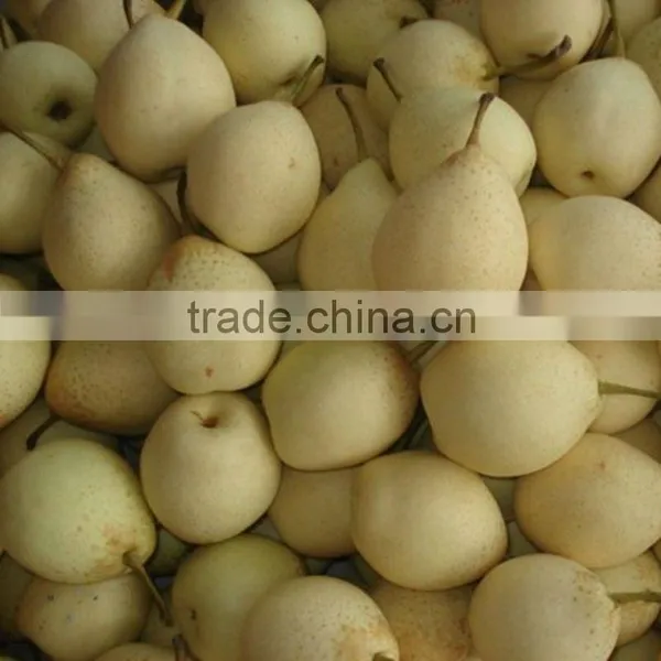 18kg ya Pear