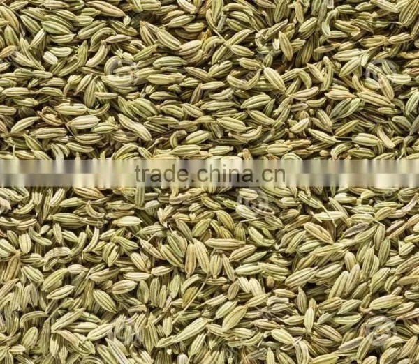 Dried Fennel Seed