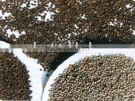 Perilla Seed