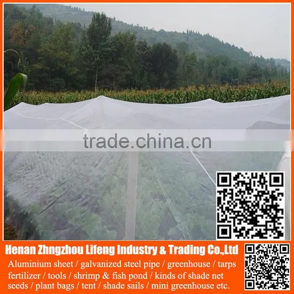 Chinese Factory pe Greenhouse Anti Insect Proof Net , Plastic Vegetable Anti Insect Net , Nylon Agricultural Anti Insect Net photo-3