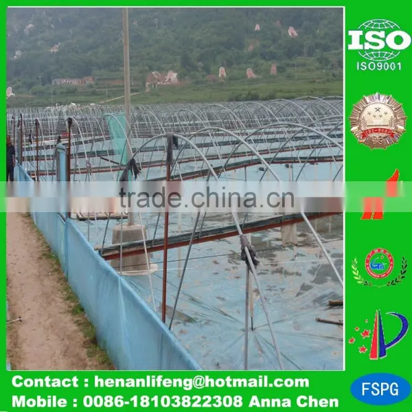 Plastic Tarp Beach Tent , Hdpe Camping Tarp , pe Tarp for Pool
