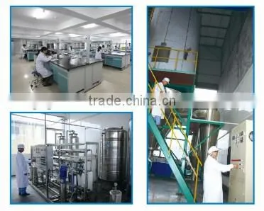 China Made D-glucosamine Hydrochloride Powder photo-5