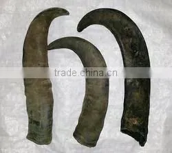 Buffalo Horn Tips photo-2
