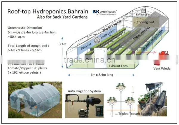 Tunnel Greenhouse photo-4