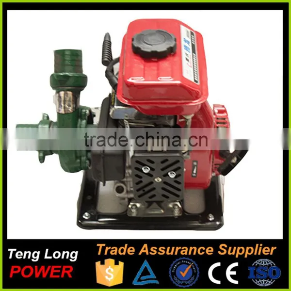 Chinese Water Pump Manufacturer , Use For Garden And Construction