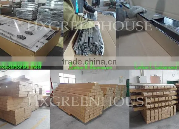 Small Agriculture Greenhouse HX65126-1 photo-6