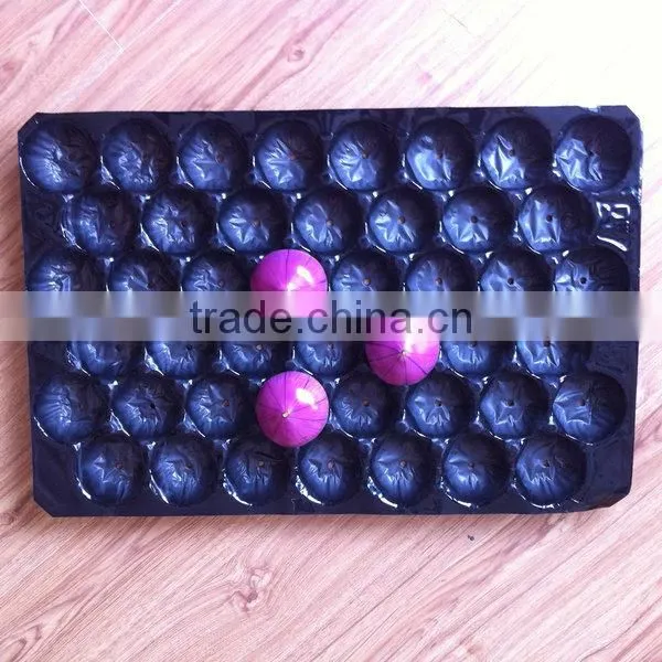 Plastic Tray Insert for Apple, Thermoformed Plastic Tray Insert for Apple, Food Grade Plastic Tray Insert for Apple photo-3