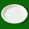8 Inch Paper Plate photo-2