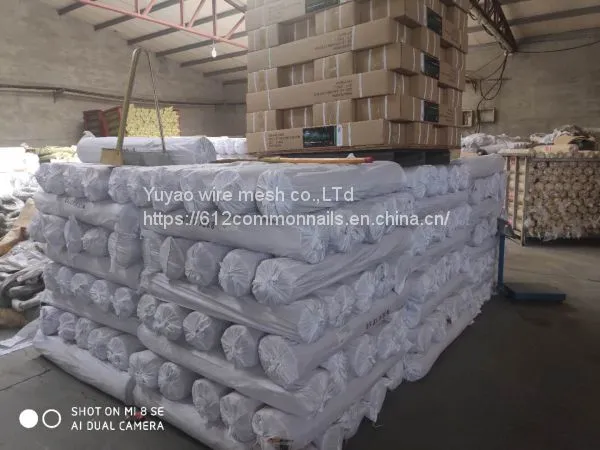 14X14 12X12 Mesh Electro Galvanized Square Iron Wire Mesh photo-5