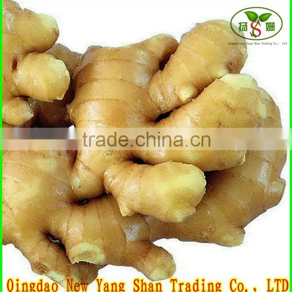 Wholesale Bulk Fresh Ginger High Quality Chinese Ginger Exporter photo-2