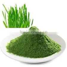 Best Quality Wheat Grass Powder For Sales And Export photo-4