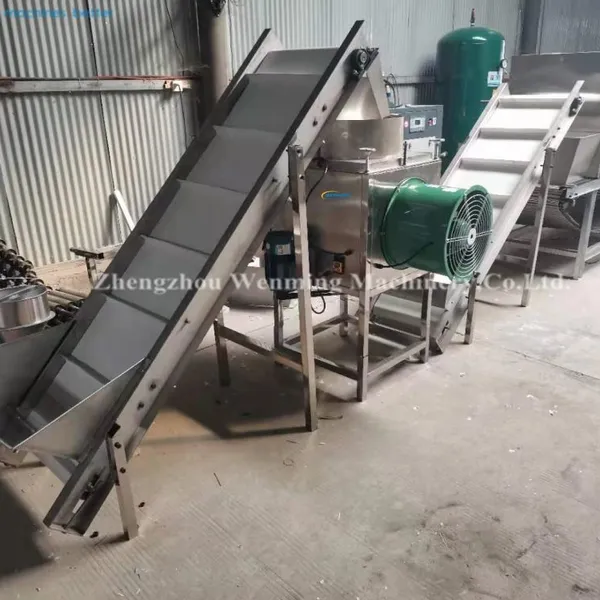 Automatic Garlic Peeling Machine Garlic Peeler Machine Production Line Garlic Peeling Line photo-5