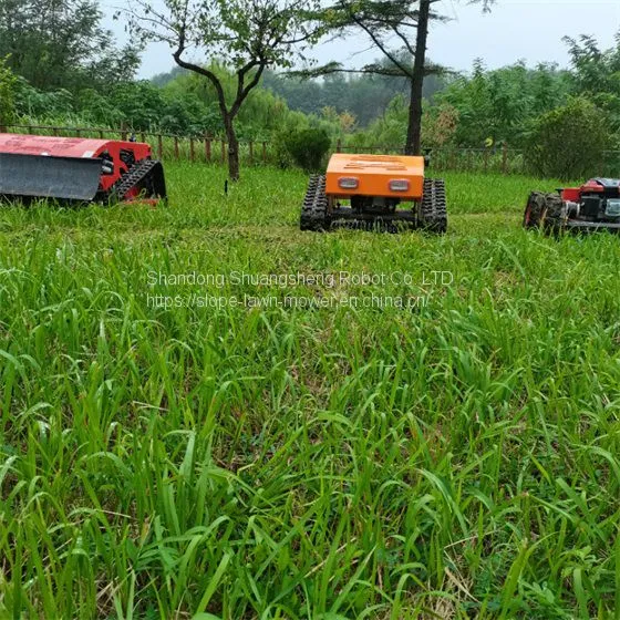 Slope Mower China Manufacturer Factory Supplier Wholesaler photo-3