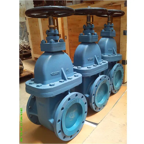 JIS/GB/ANSI 5K 10K Marine Ship and Industry Use Cast Iron Size DN80 DN100 DN400 Gate Valve photo-4