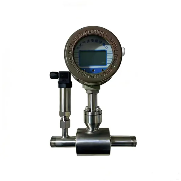 Gas Thermal Mass Flow Meter photo-3