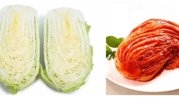 Hot Sell Kimchi Pickles Making Machine photo-5