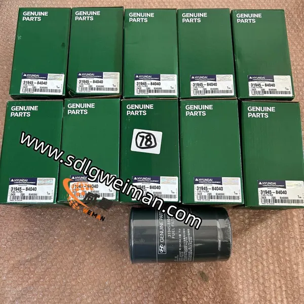 Original Hyundai 31945‑84040 Fuel Filter for Excavator photo-4