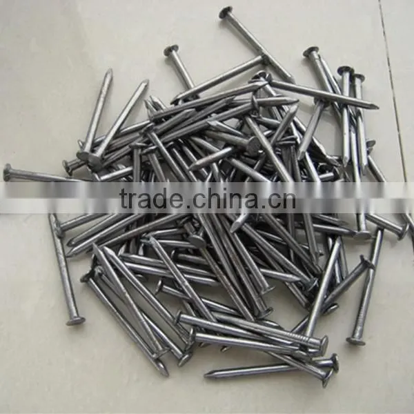 Common Wire Nail for Dubai Market photo-4