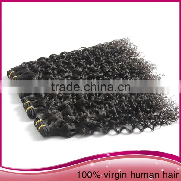 China Supplier Wholesale Kinky Curly Human Hair Weft Unprocessed Brazilian Human Hair Extension photo-2
