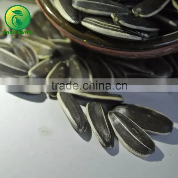 Shop Online Price of Sunflower Seeds, Specifications for Sunflower Seed photo-2