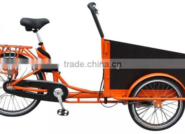 Electric Cargo Bike for Family Use photo-2
