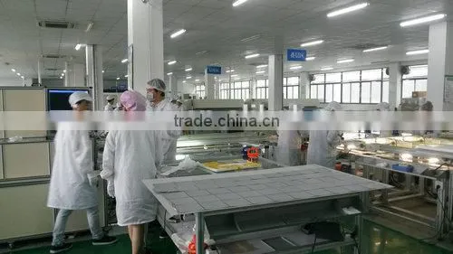 Risun 250W Poly Solar Panel With TUV CE CEC ISO Full Certifications photo-5