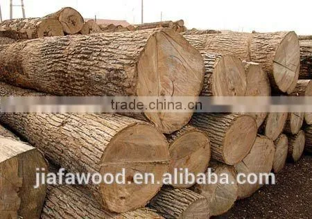 Quality Russian BIRCH LOGS- Grade A Fresh Cuts Quality Choice photo-3