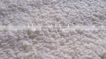 KS-80/Bolier Type Ponni Rice Steamer /Basmati Rice photo-2