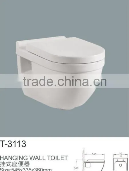 Chinese Bathroom Wall Mounted Toilet Bowl photo-2