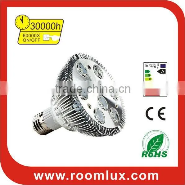 LED PAR30
