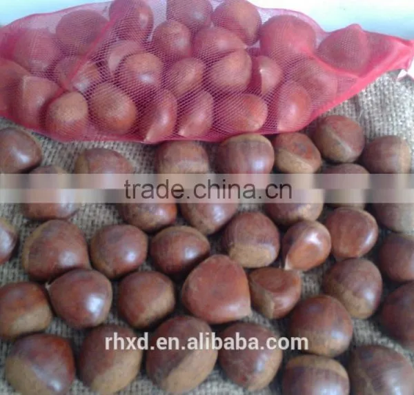 2015 Healthy Snack Roasting Chestnuts/vacuum Packed Organic Dried Peeled and Roasted Sweet Chestnuts photo-5