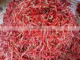 Wholesale 100% Pure Nature Spices Bulk Red Chilli. photo-5