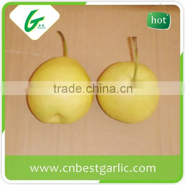 Boxing Fresh Shandong Pear photo-3