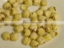 Lotus Seeds photo-2