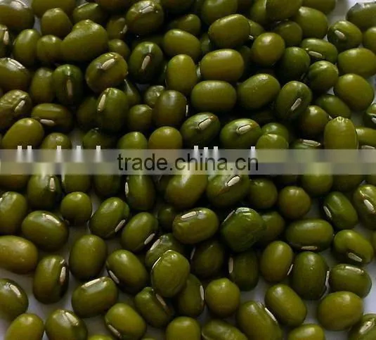 Green Mung Bean