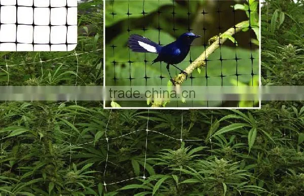 Anti Bird Plastic Mesh