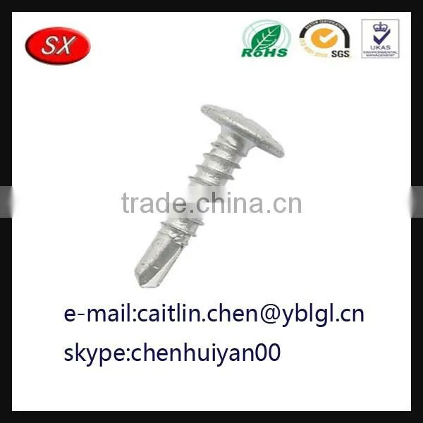 Dongguan Hardware Factory Custom Steel Screw photo-3