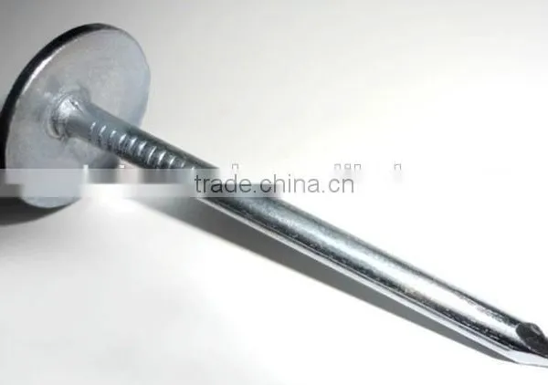 White Roofing Nail photo-2
