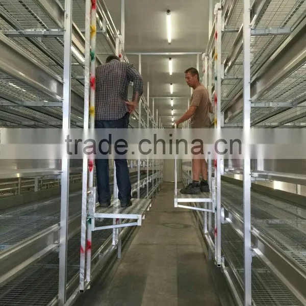 6061T5 Aluminum Extrusion Profile for Planting Frame photo-4