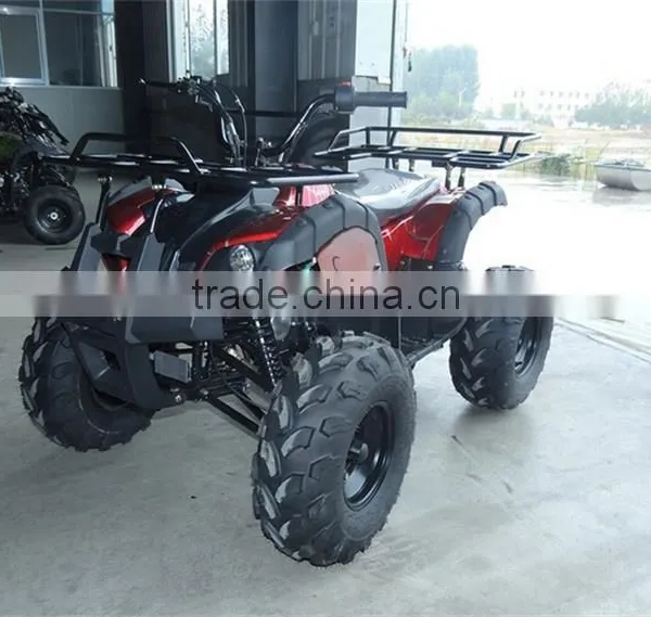 Small Beach Buggy Truck For Young Man Race On Beach photo-2