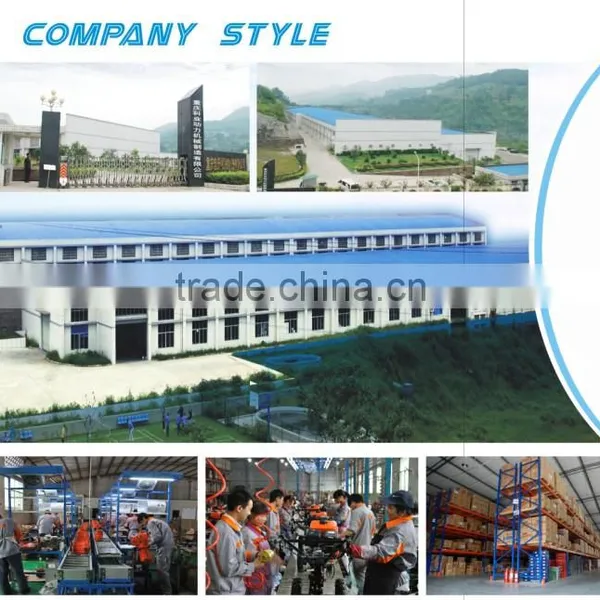 Best Quality Gasoline Engine 173F 1/2R for Cultivators photo-6