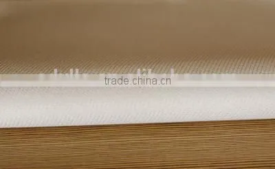 Factory Supply Textured E-fiberglass Cloth With PTFE Membrane Used for Dust Collector Bag photo-2